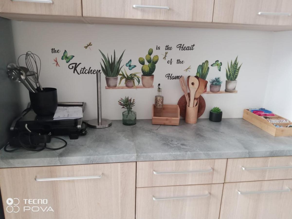 Grand Appartement Au Coeur De Strasburgo Esterno foto